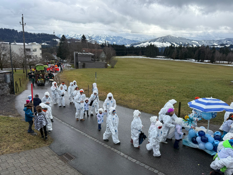 20260217-Faschingsumzug-Langen-05