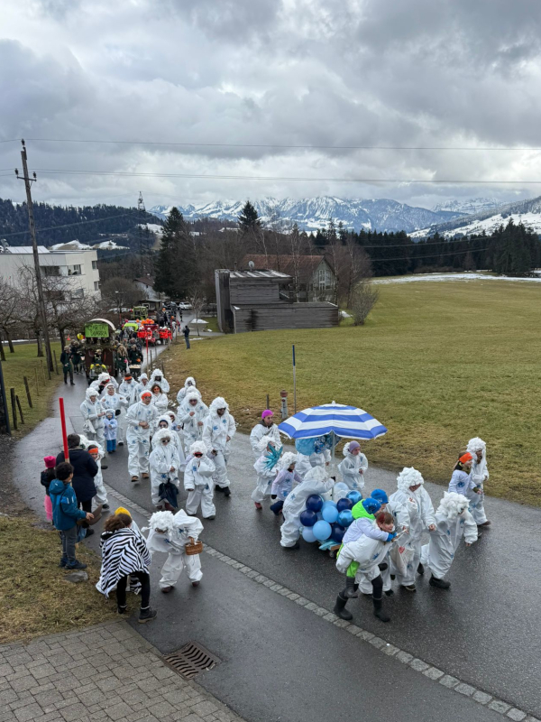 20260217-Faschingsumzug-Langen-06