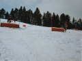 1988 Parallelslalom
