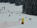 20260201-Masters-Cup-Vorarlberger-Schicup-05