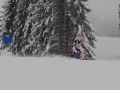 150124 Racing Kids - 2. Cuprennen (13)