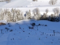 Vereinsrennen 2015 (6)